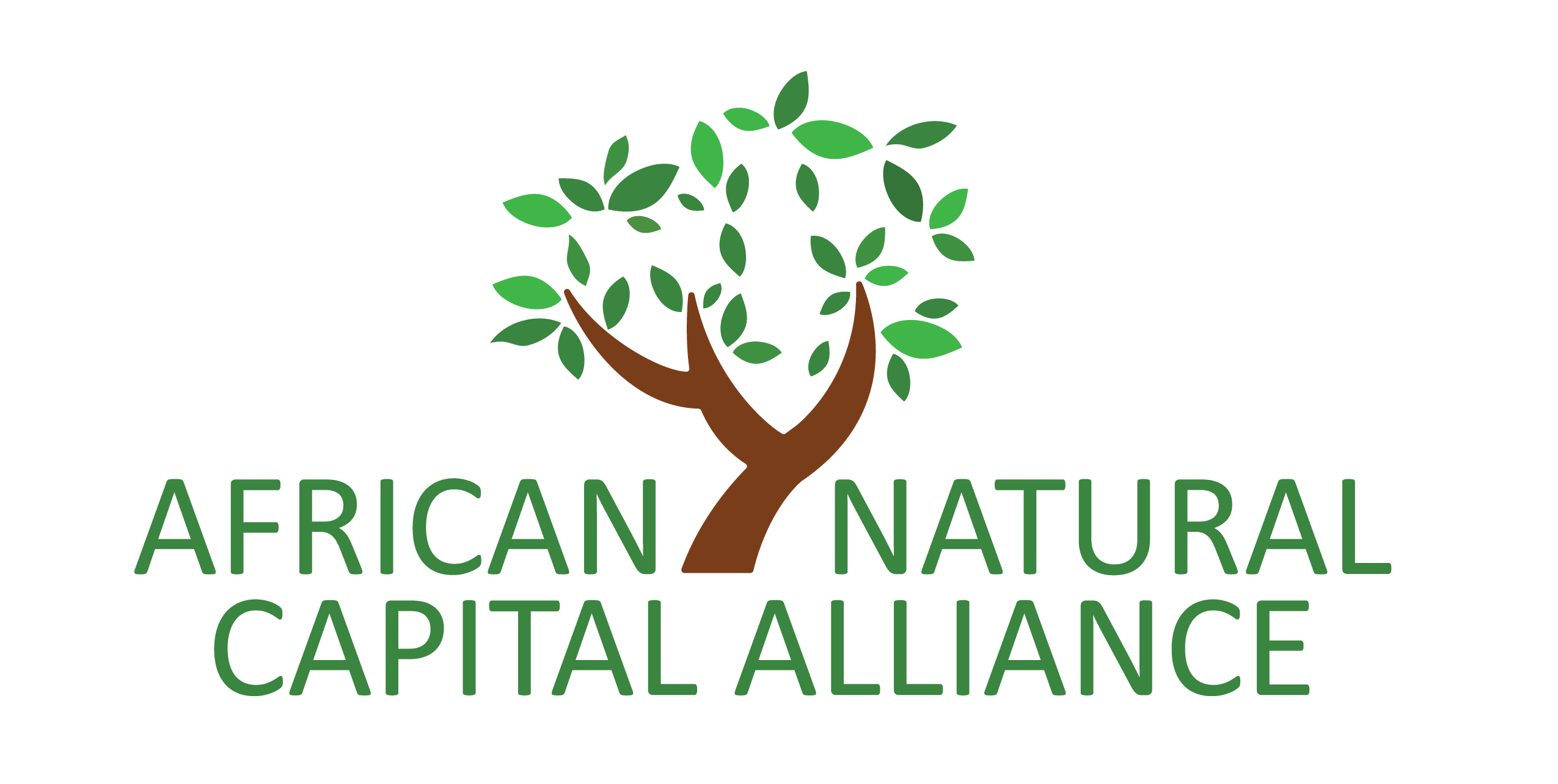 ANCA