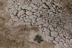 Catalysing Climate Resilience