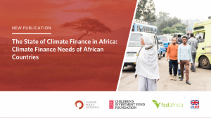 The state of climate finance in Africa: Climate finance needs of African countries