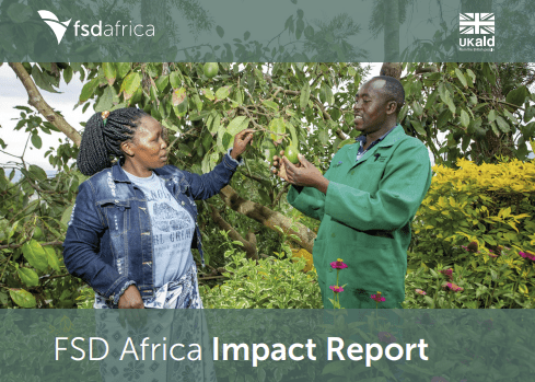 FSD Africa Impact Report