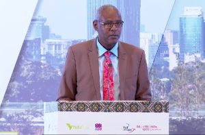 Ethiopia Needs Greater Innovation, Market Dev’t to Broaden Insurance Uptake: NBE Deputy Governor