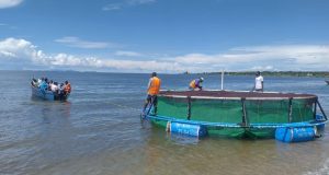 TECA - Lake Victoria’s aquaculture projects bring hope to fishing communities
