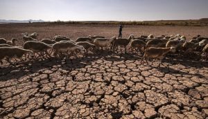 Africa is part of the solution to climate change, not just a victim