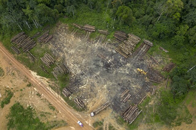 Forest clearance where logs are stored before transportation at a concession managed by African Equatorial Hardwoods (AEH), a new forestry and timber processing company managing more than 420,000 hectares of forestry concessions, in Mayumba on October 11, 2022.