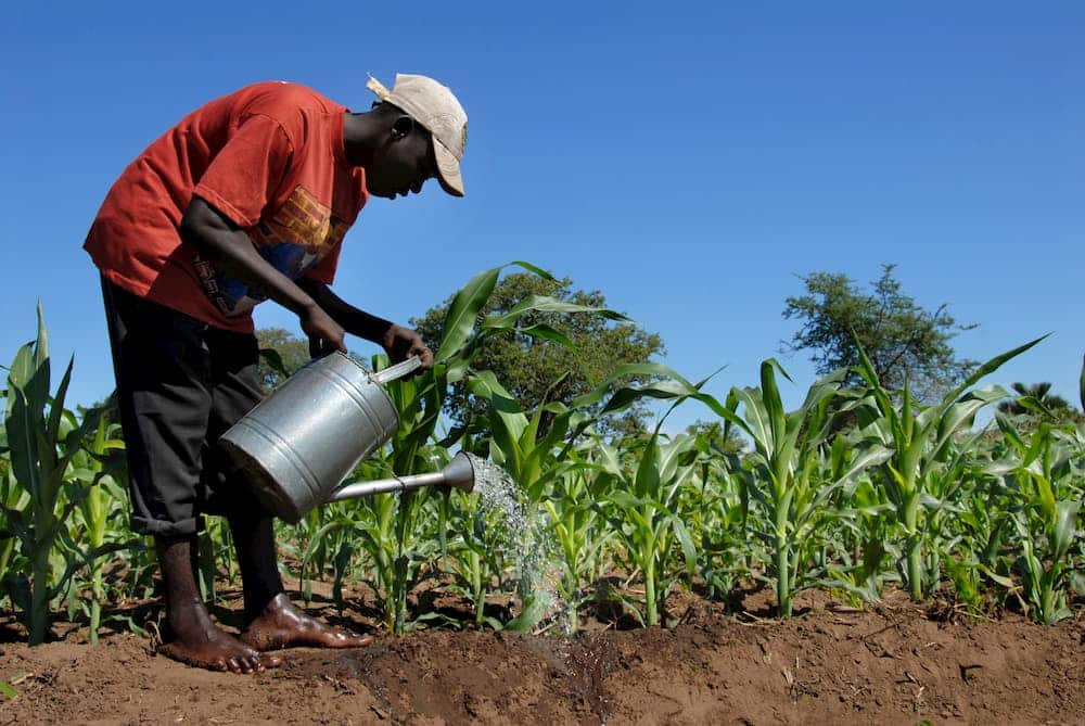 10th consultative forum on “scaling up agricultural index insurance in Africa: building disaster resilience of smallholder farmer