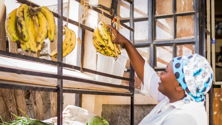 The growth of micro-insurance: expanding financial inclusion