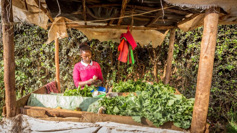 Savings groups and women’s financial inclusion