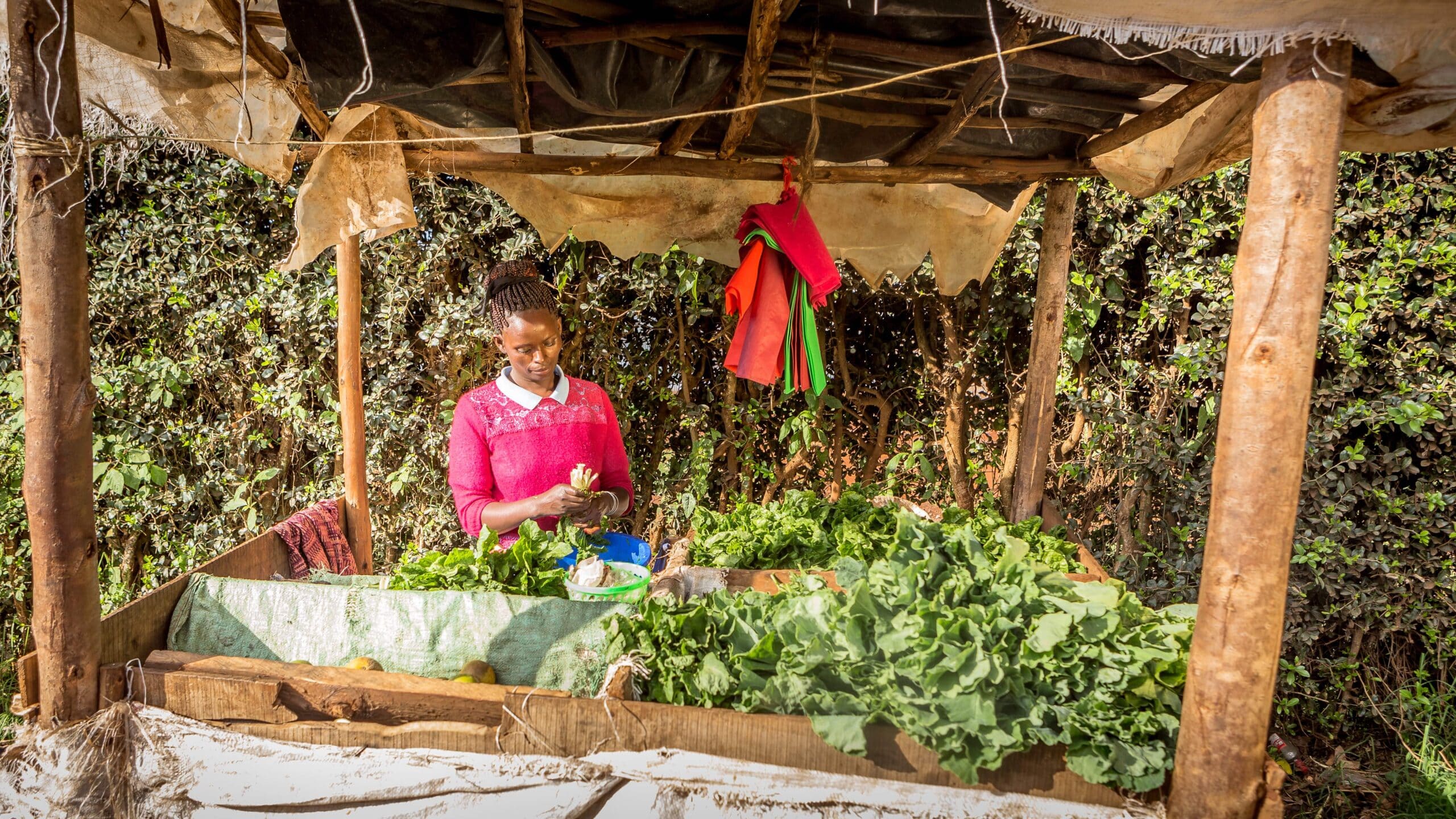 Savings groups and women’s financial inclusion