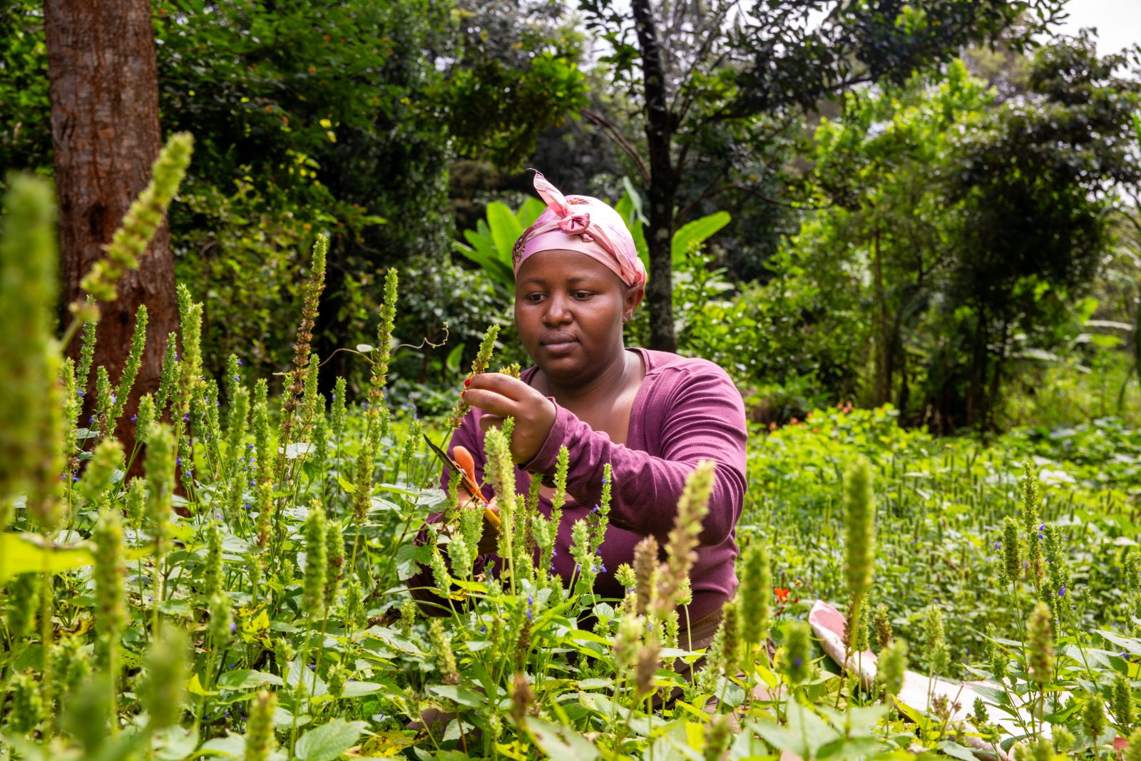 How capital markets can enable gendered socio-economic progress