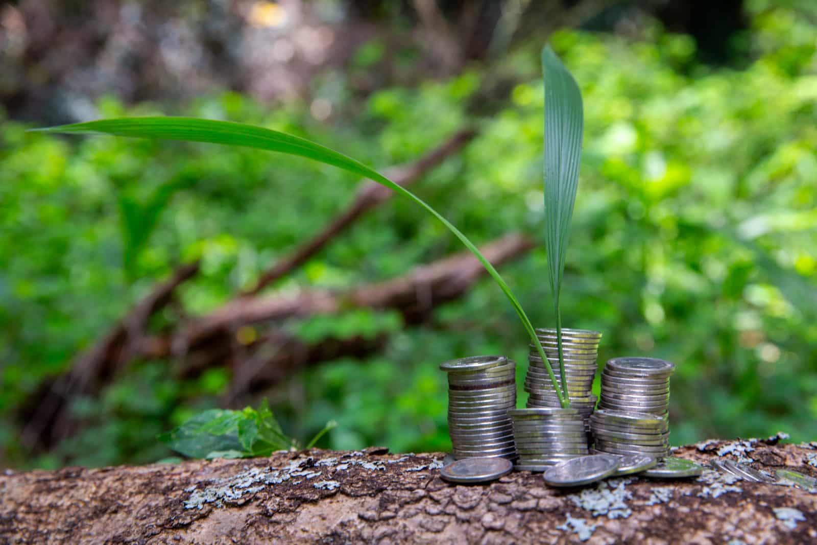 FSD Africa launches feasibility study on innovative approaches to transferring MDBs capital to the private sector