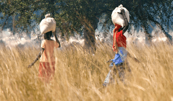 Building Resilience: A path to food security in Sudan