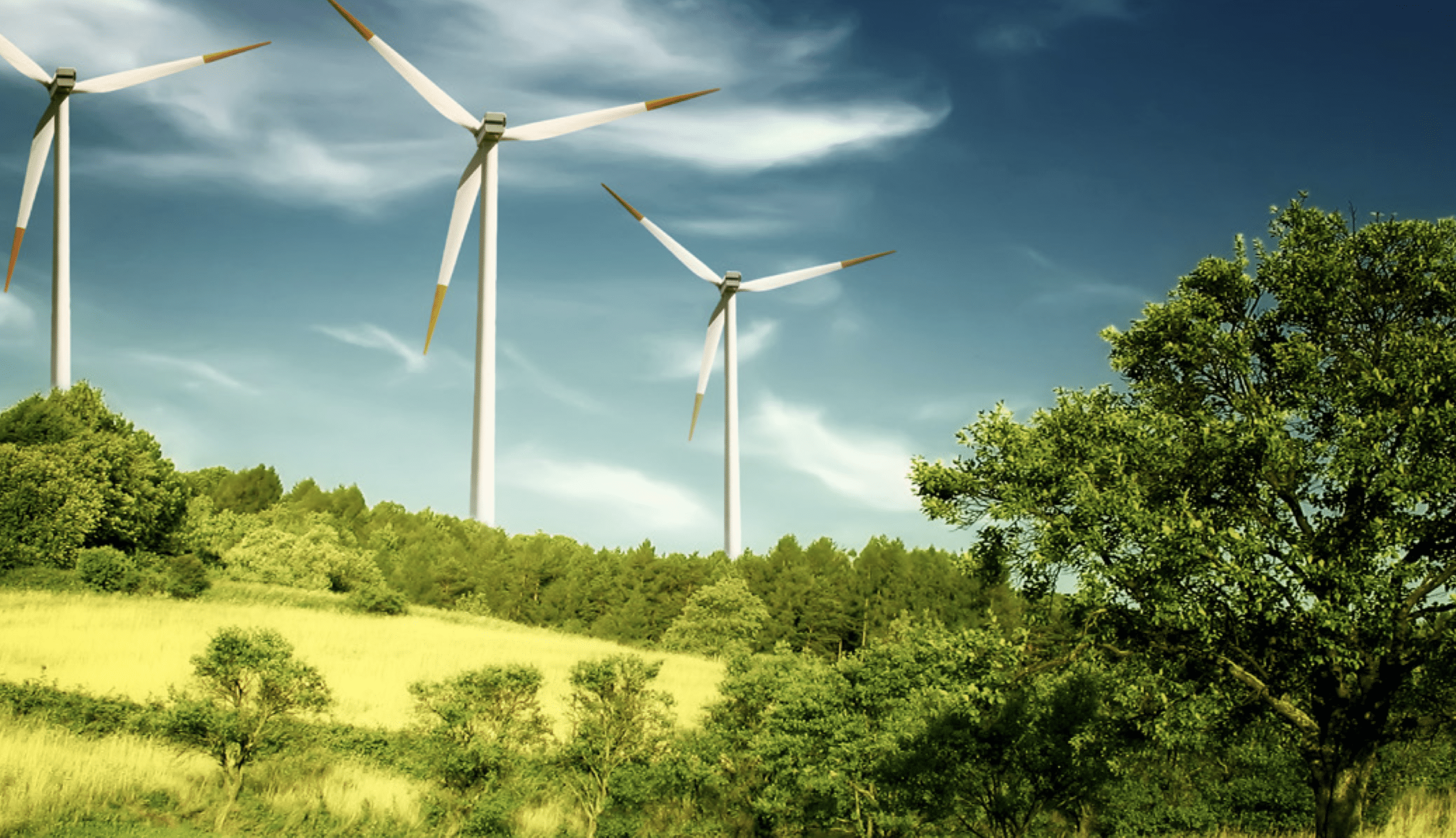 What’s next for green bonds in Africa