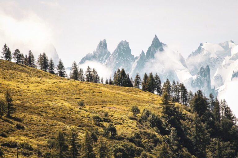 New platform to boost environmental impact financing in Africa