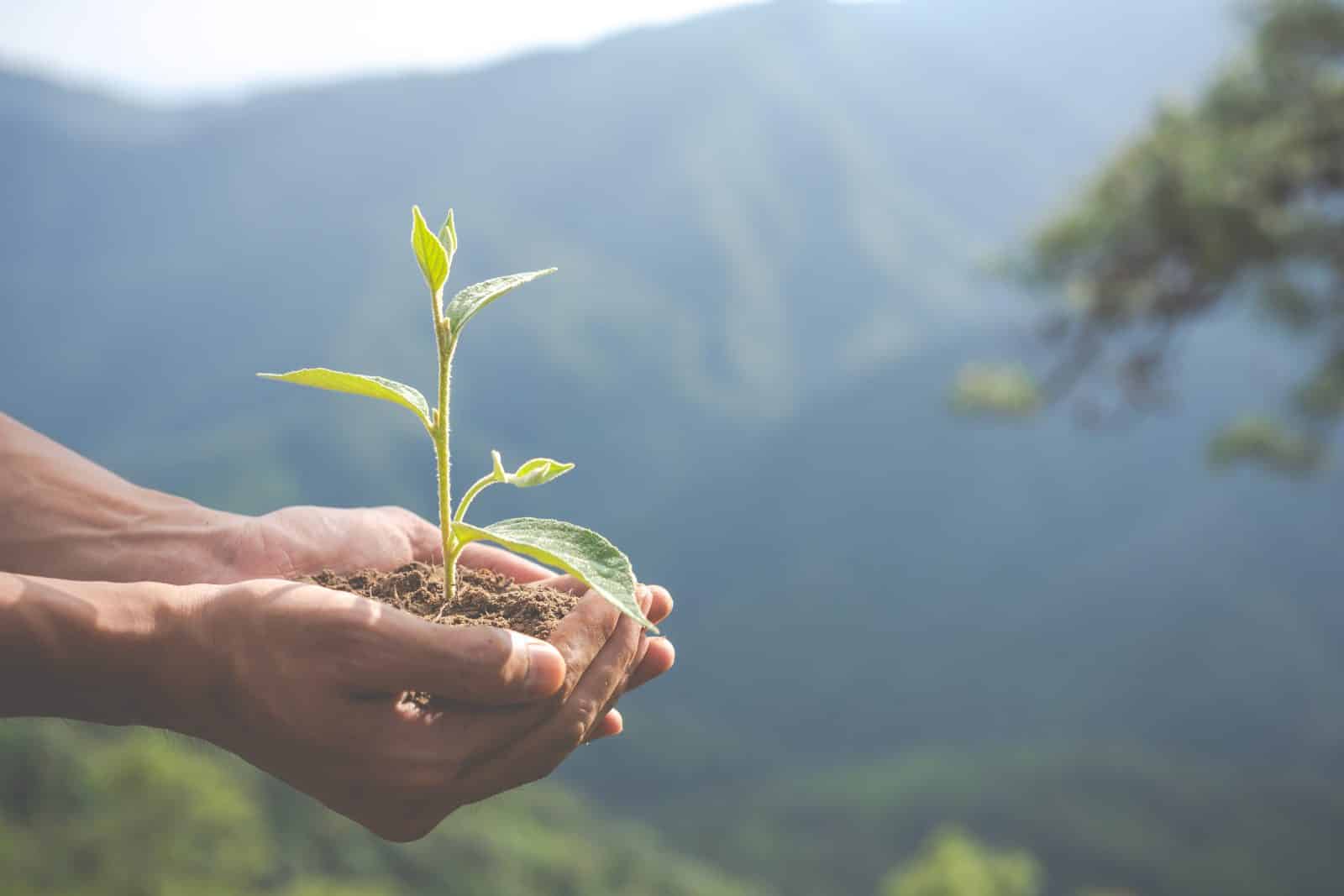 Climate finance regulation: Morocco, an example in the Maghreb