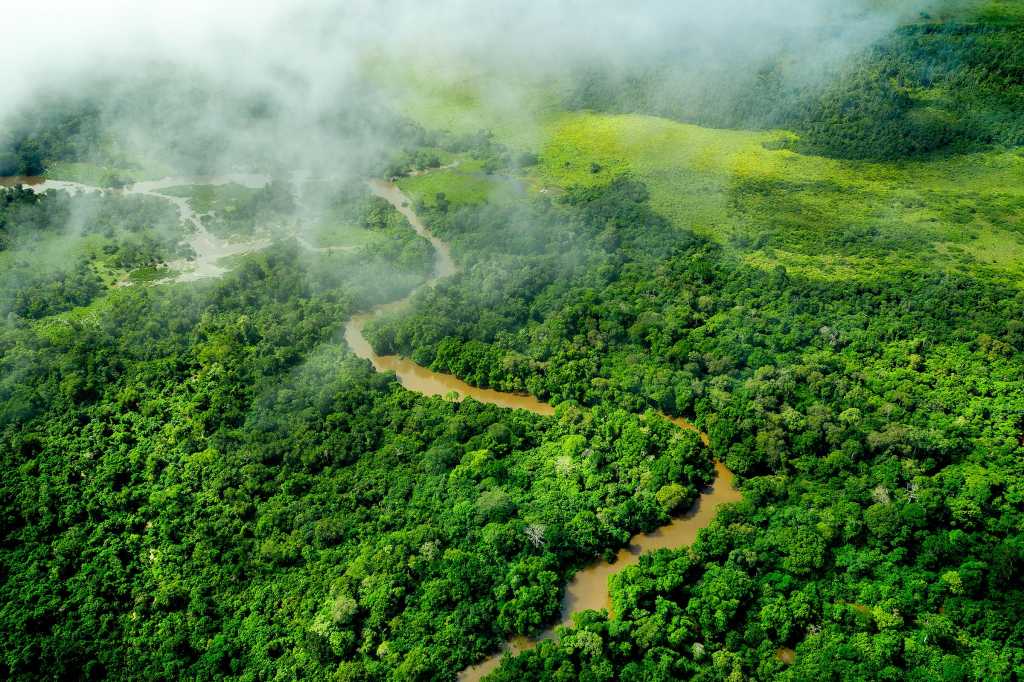 United Kingdom Government reiterates commitment to Africa’s green industries