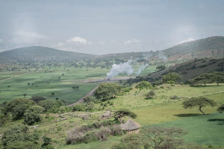 What Africa Needs to Go Green Is Finance