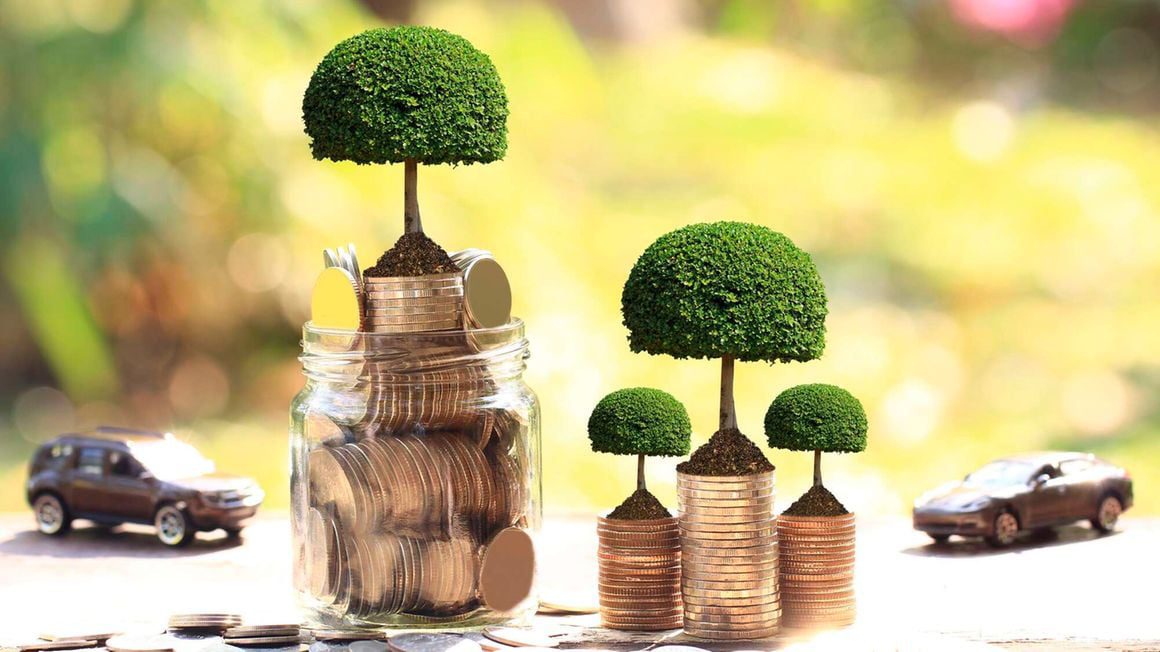 Holland firm to offer corporate debt guarantees