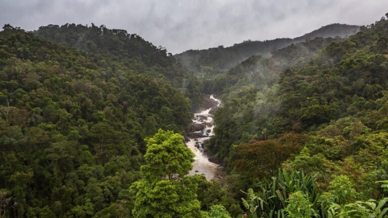 Is nature-based investing ready for take-off in Africa?
