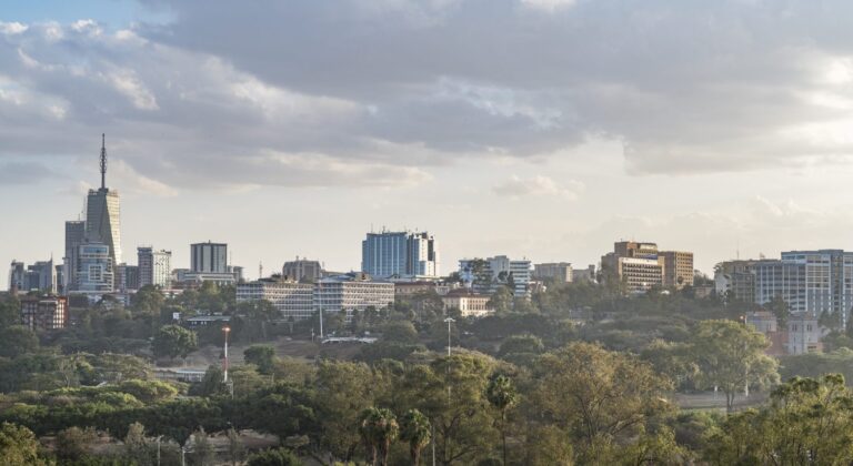 FSDAi Nyala Facility invests US$ 1 million in First Circle Capital Africa  Fund