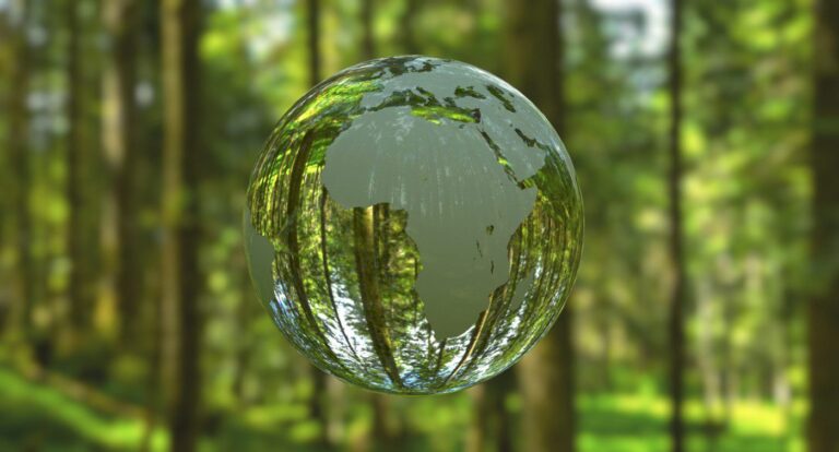 Non-profit selected to help African central banks assess nature-related risk