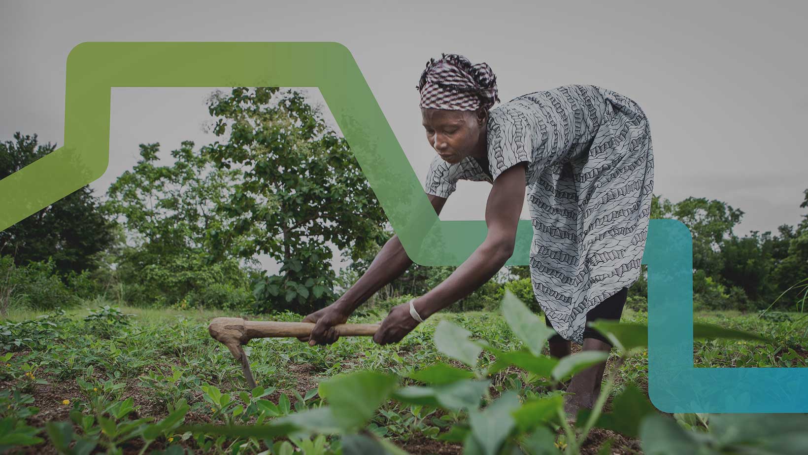 The effect of COVID-19 on a sustainable future for Africa
