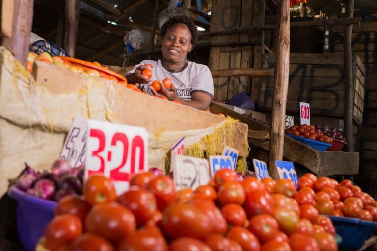 The art of market facilitation: learning from the financial sector deepening network