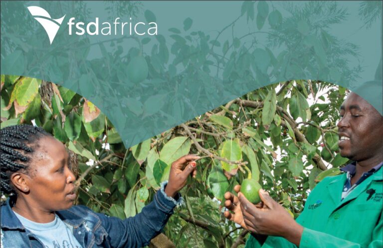 FSD Africa Impact Report – 2022
