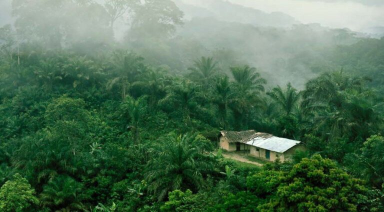 The Emerging Regulatory Agenda – Improving Transparency of Nature-related Risks in Africa
