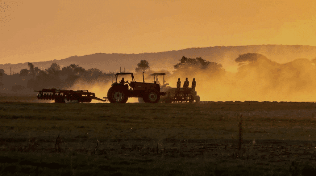 Agricultural leasing market scoping study for sub-Saharan Africa