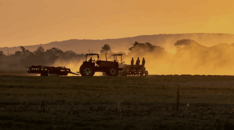 Agricultural leasing market scoping study for sub-Saharan Africa