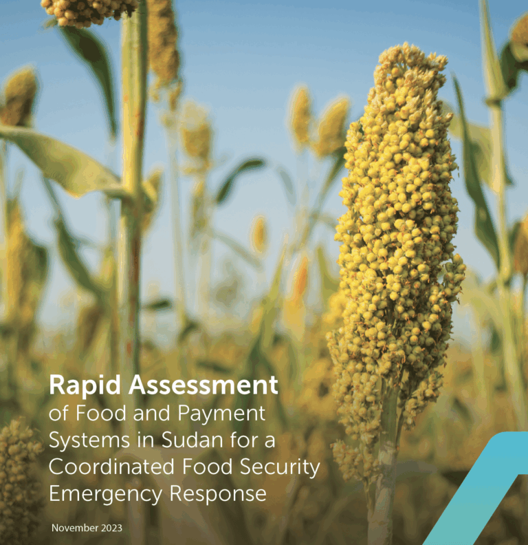 Sudan emergency food response rapid assessment