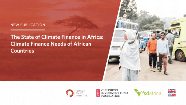 The state of climate finance in Africa: Climate finance needs of African countries