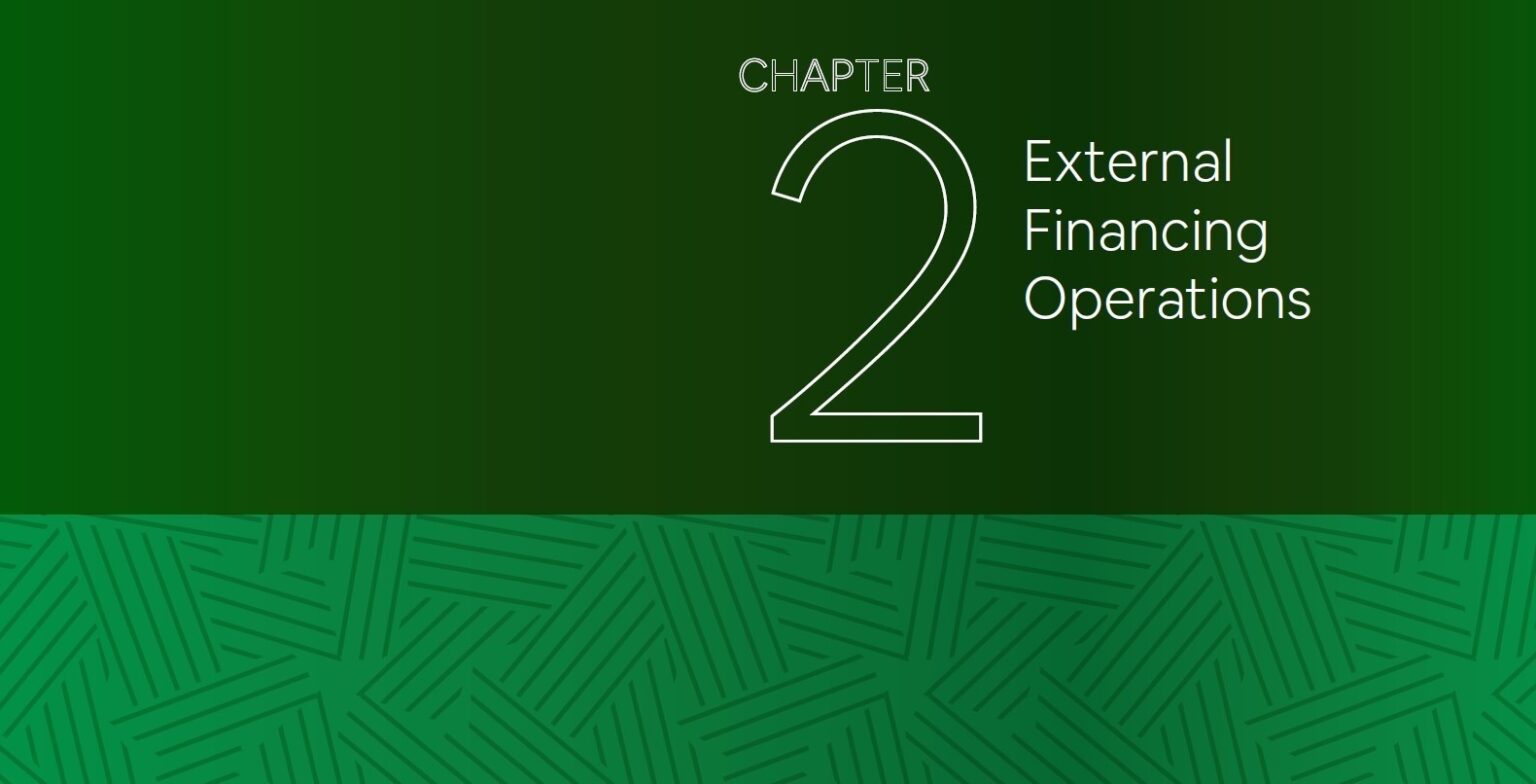 Study on Managing Sovereign Debt in Times of Crisis: External Financing Operations