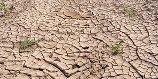 Venture funds flowing into Africa’s climate change businesses