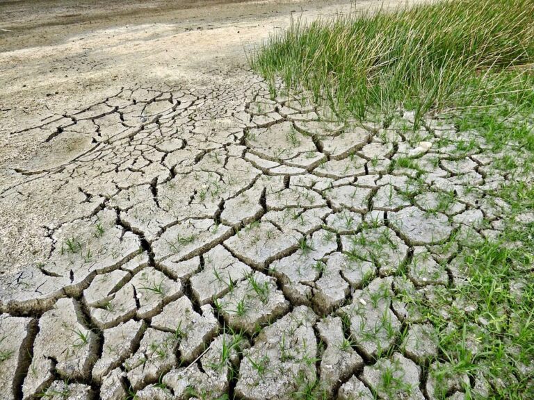 African insurers pledge $14bn of cover to take up climate change fight