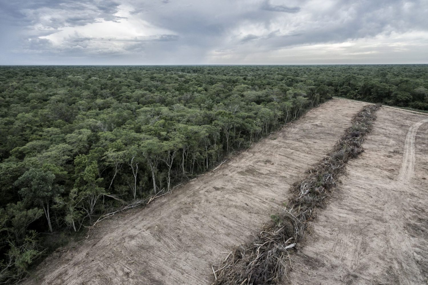 10 key takeaways from COP27 on nature’s critical role