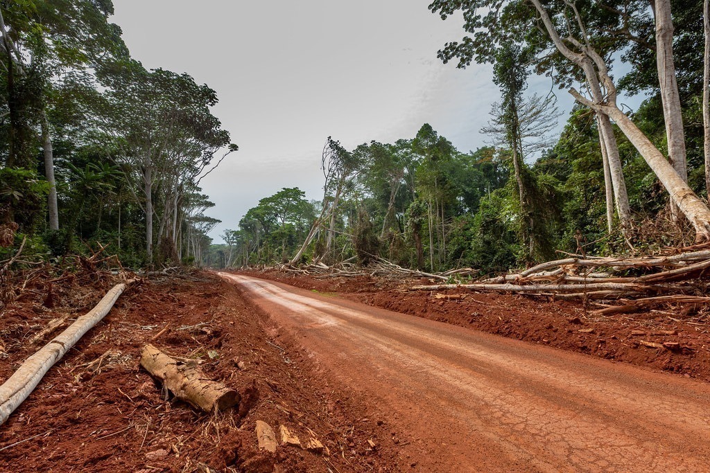 Promoting an African voice for the Taskforce on Nature Related Disclosures (TNFD) and nature-related financial risk management