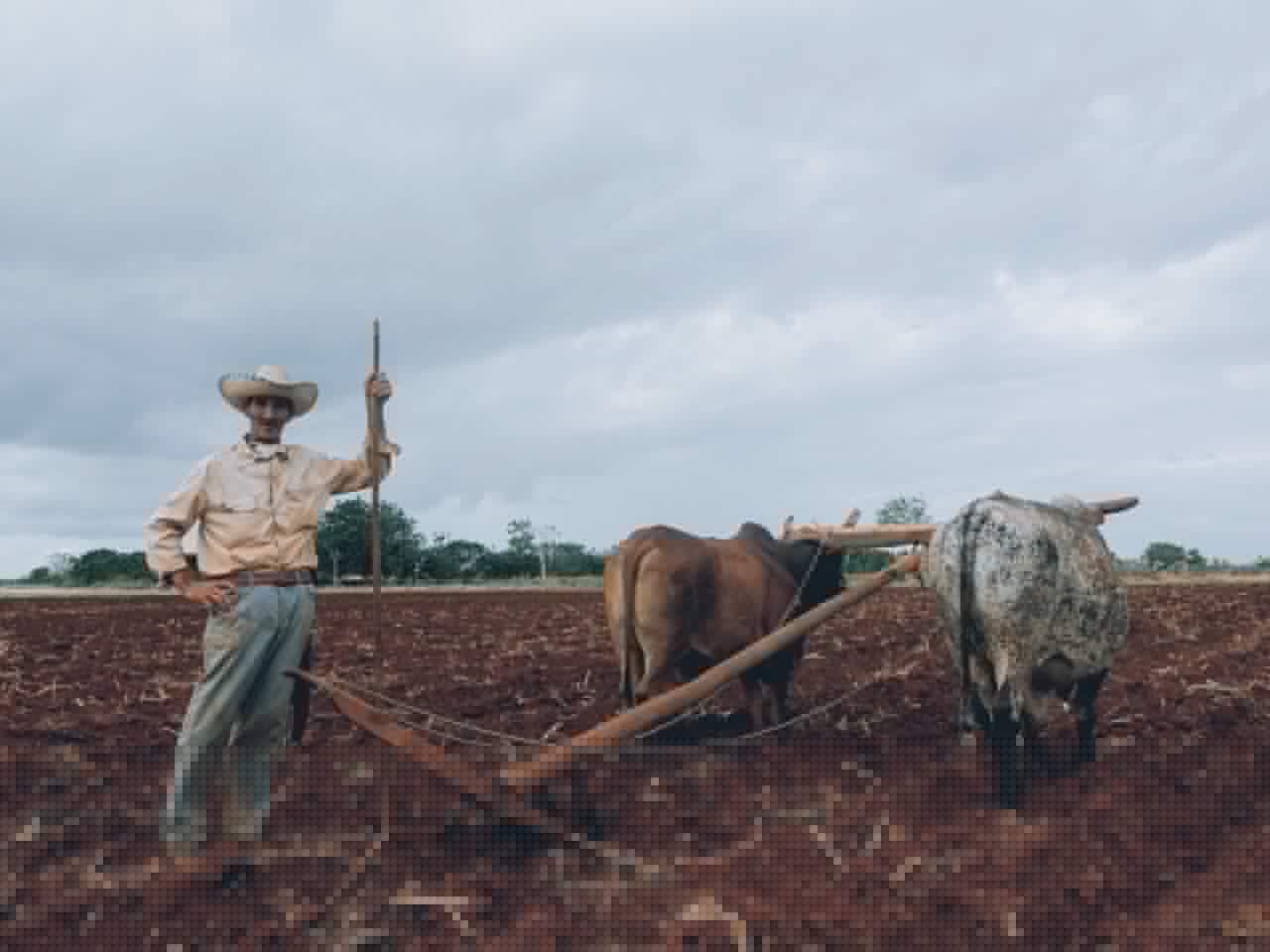 Fintech for Climate Resilience