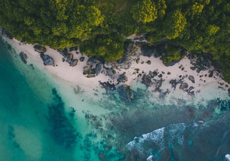 Leading financial institutions partner with UNECA and FSD Africa to form the African Natural Capital Alliance