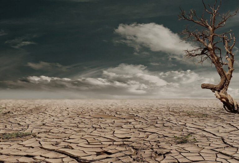 African insurers take up climate change fight with $14 bln pledge