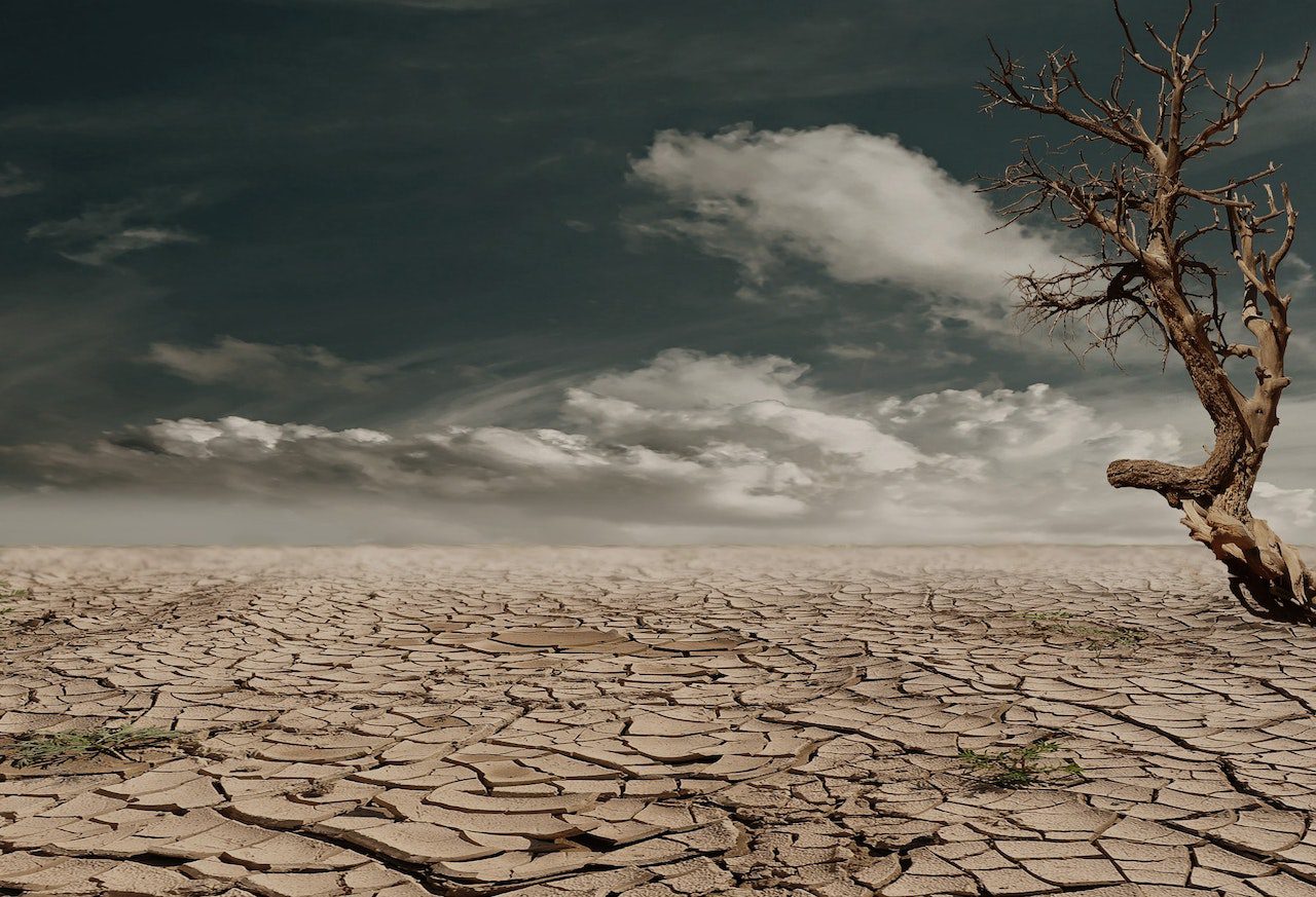 African insurers take up climate change fight with $14 bln pledge