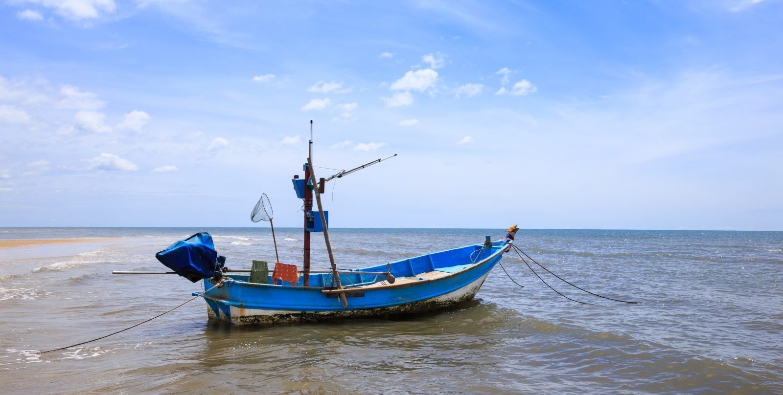 Vua Inc. A story of resilience and innovation