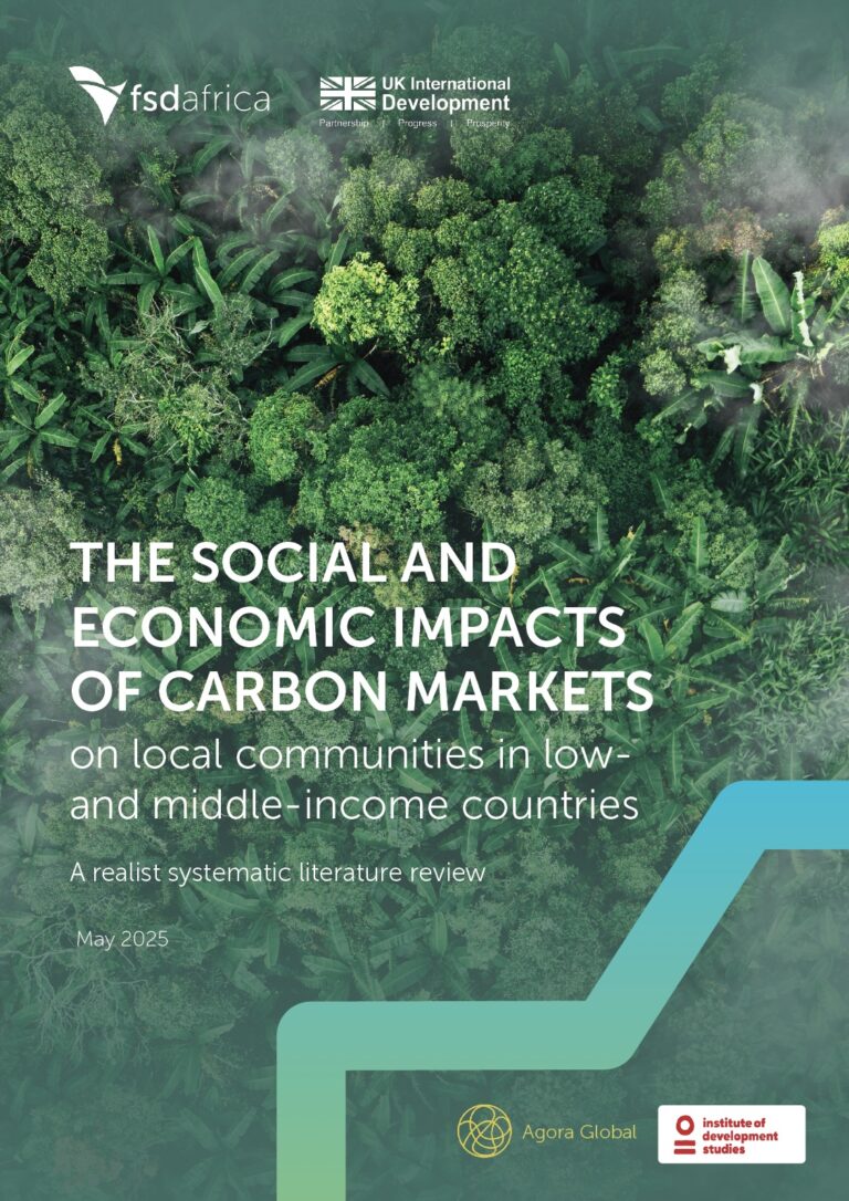 The Social and Economic Impacts of Carbon Markets