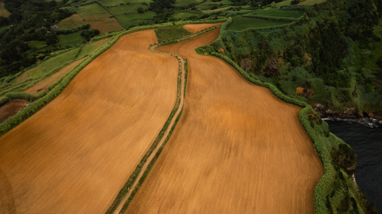 From Debt to Opportunity: Unlocking Domestic Capital for Climate and Nature under Fiscal Pressure