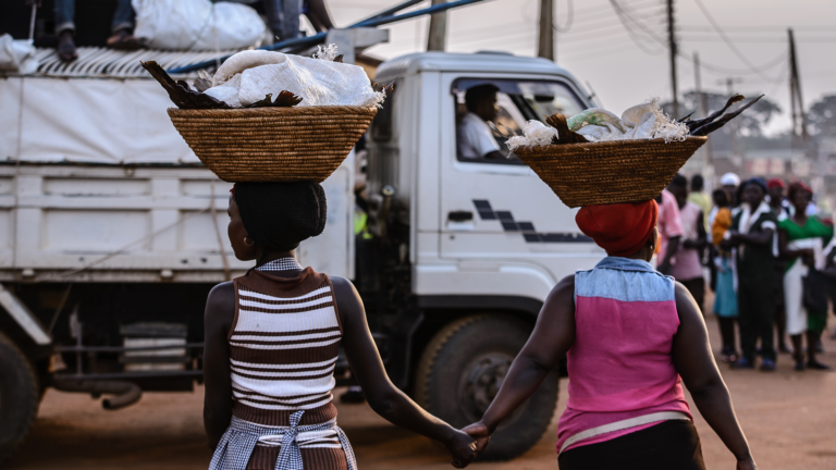 Scaling Private Finance for Adaptation and Resilience in Africa