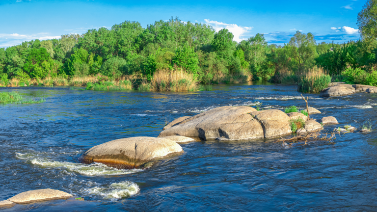Financing the Biodiversity Plan: The role of Biodiversity credits – strong foundation or cautionary tale?
