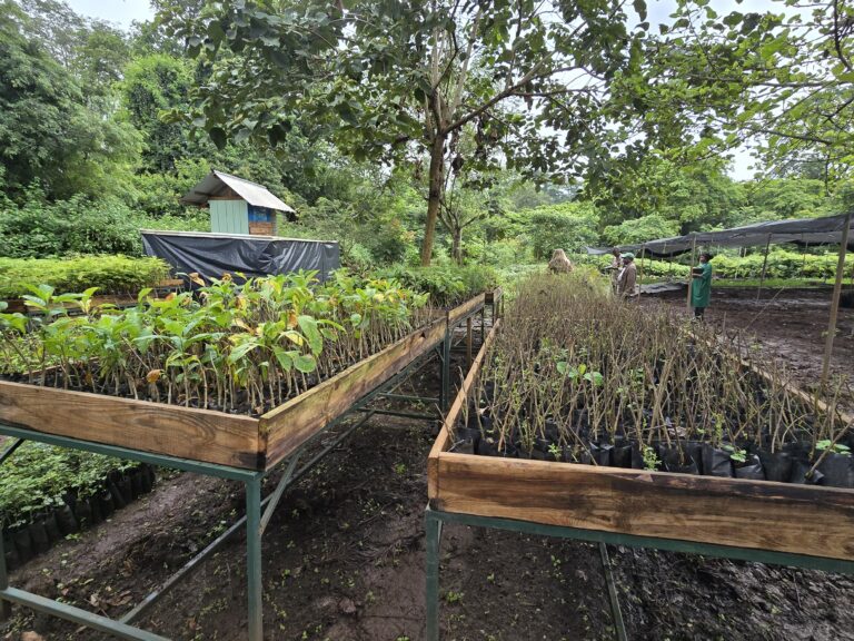 BIRA: Growing investment in Africa’s biodiversity