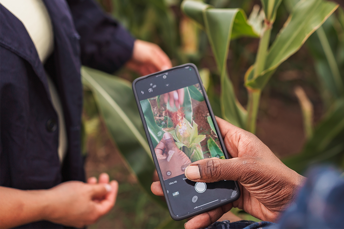 Nigeria’s Heat Crisis Is Fueling a New Wave of Startups