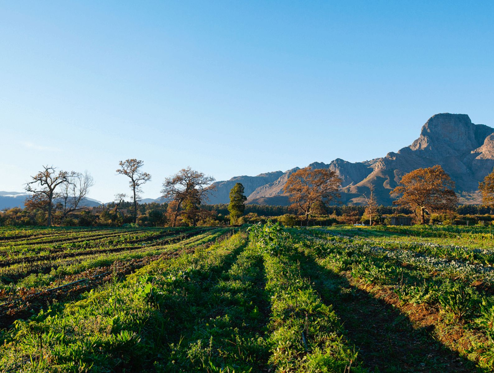 Nature-first enterprise could become Tanzania’s next investable growth story