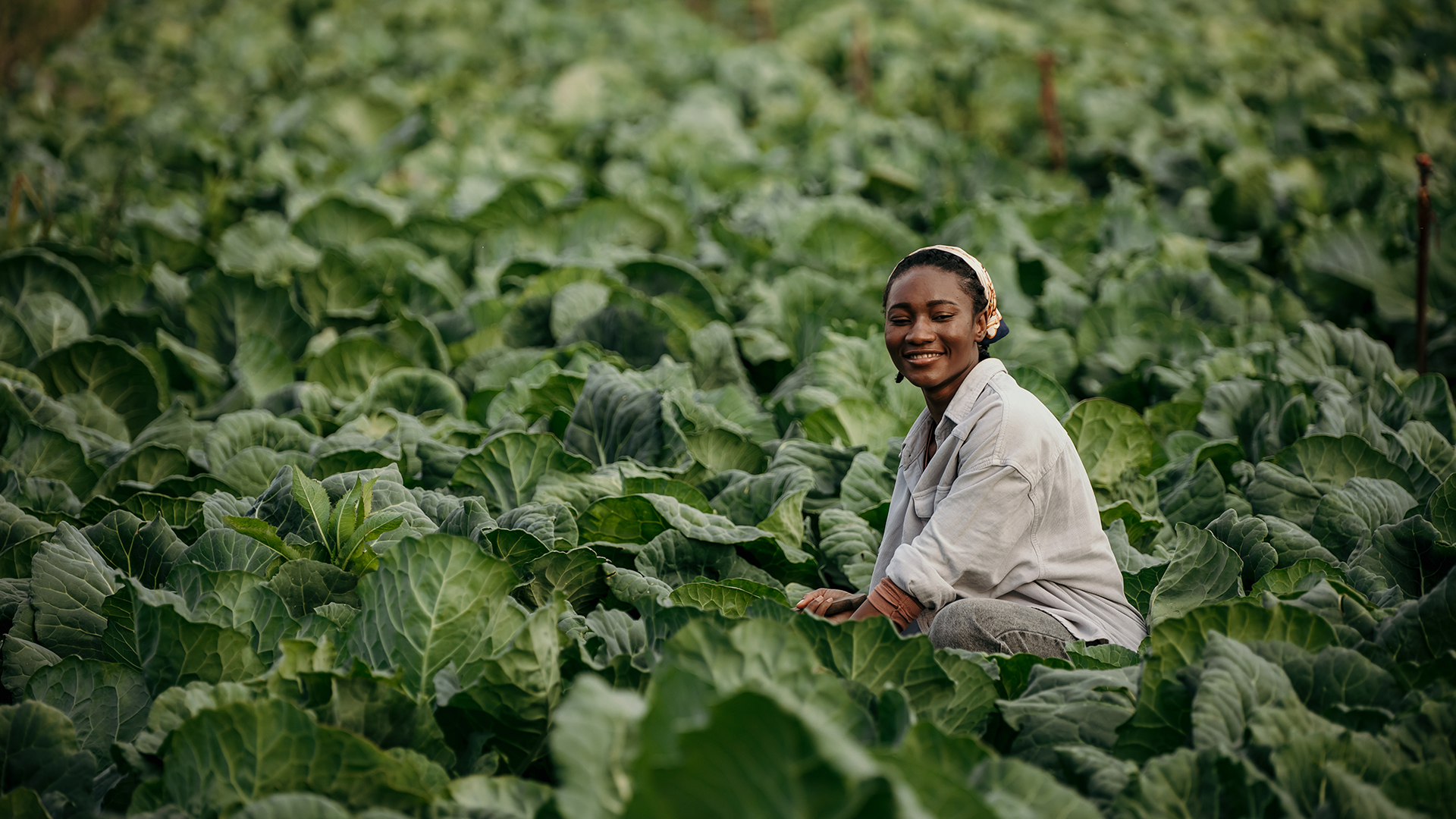 Young woman smallholder farmer in the field